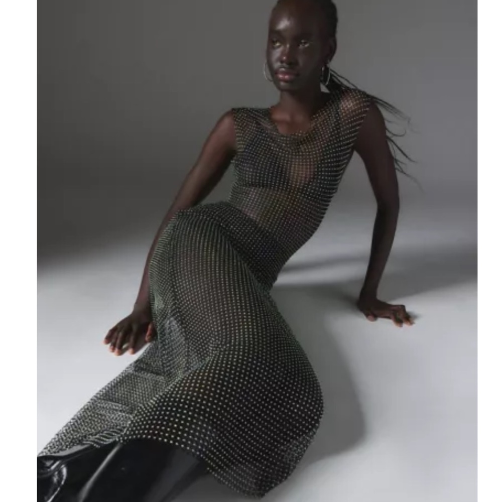 Silence + Noise Stephanie Sheer Fishnet Midi Dress